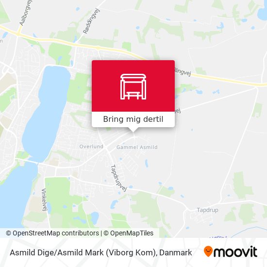 Asmild Dige / Asmild Mark (Viborg Kom) kort