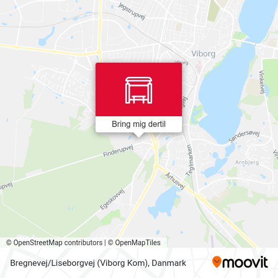Bregnevej / Liseborgvej (Viborg Kom) kort