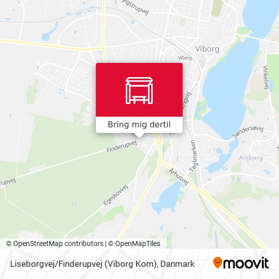 Liseborgvej / Finderupvej (Viborg Kom) kort