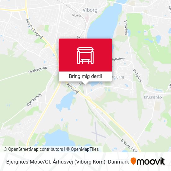 Bjergnæs Mose / Gl. Århusvej (Viborg Kom) kort