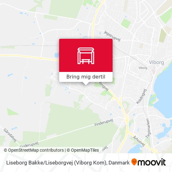 Liseborg Bakke / Liseborgvej (Viborg Kom) kort