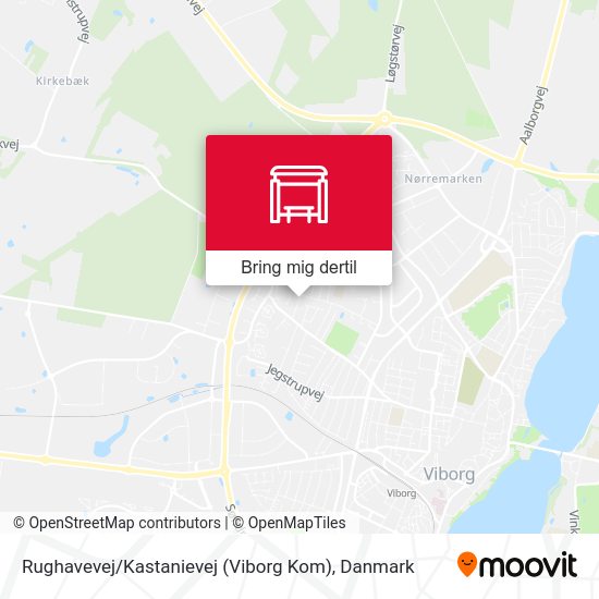 Rughavevej / Kastanievej (Viborg Kom) kort