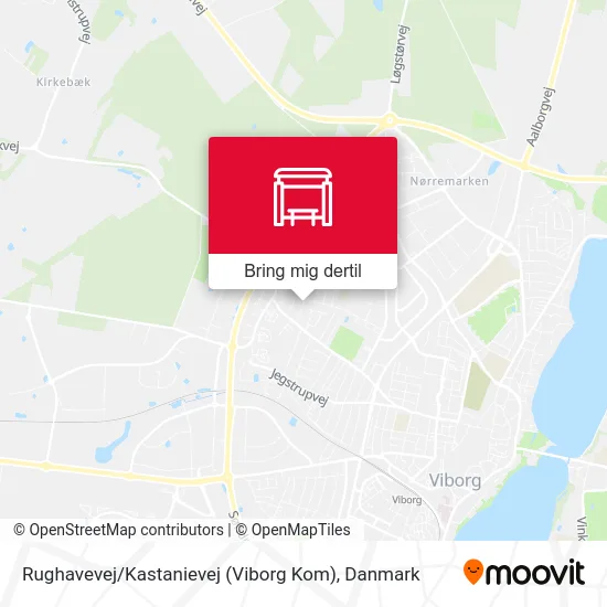Rughavevej / Kastanievej (Viborg Kom) kort