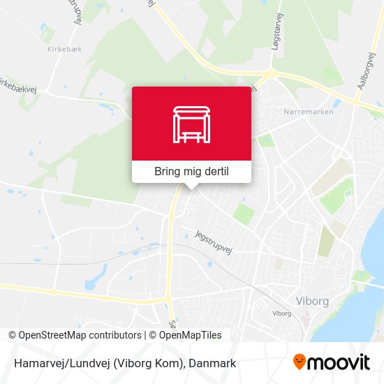 Hamarvej/Lundvej (Viborg Kom) kort