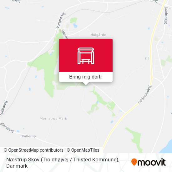 Næstrup Skov (Troldhøjvej / Thisted Kommune) kort