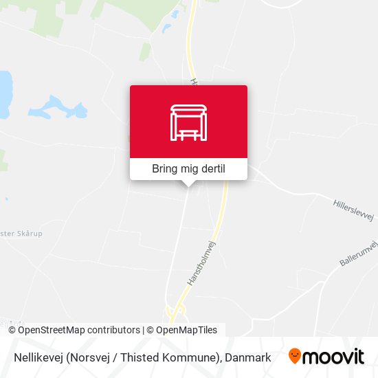 Nellikevej (Norsvej / Thisted Kommune) kort