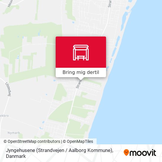 Jyngehusene (Strandvejen / Aalborg Kommune) kort