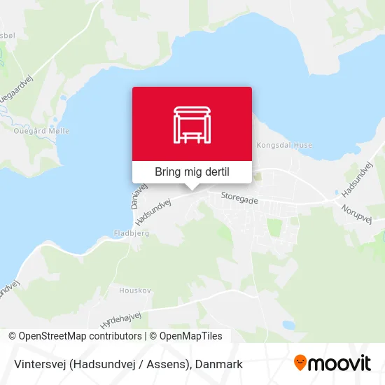 Vintersvej (Hadsundvej / Assens) kort