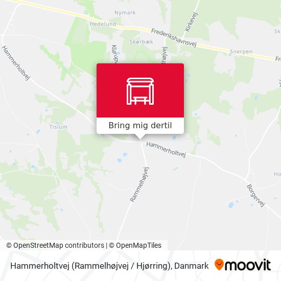 Hammerholtvej (Rammelhøjvej / Hjørring) kort