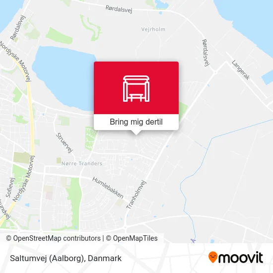 Saltumvej (Aalborg) kort