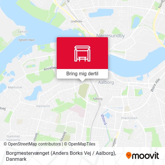 Borgmestervænget (Anders Borks Vej / Aalborg) kort