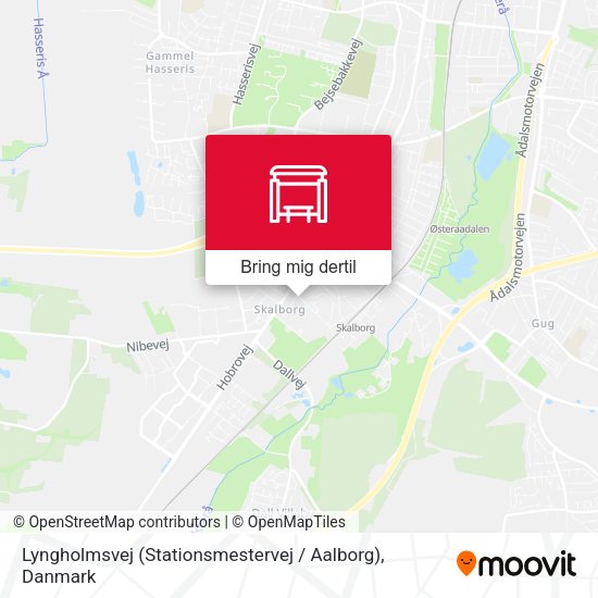 Lyngholmsvej (Stationsmestervej / Aalborg) kort