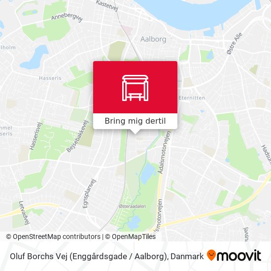 Oluf Borchs Vej (Enggårdsgade / Aalborg) kort