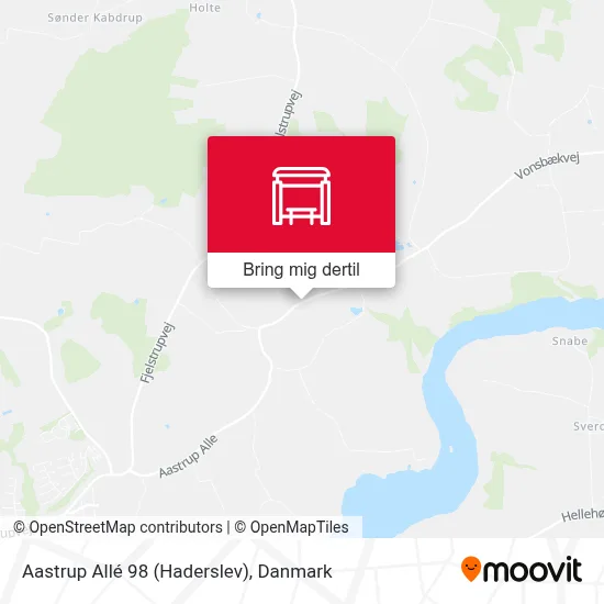 Aastrup Allé 98 (Haderslev) kort