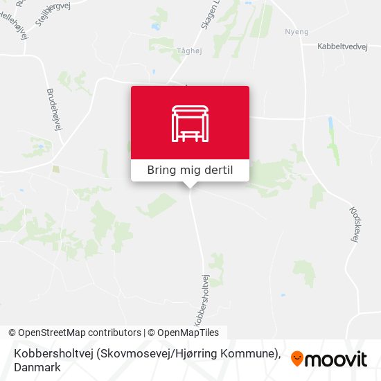 Kobbersholtvej (Skovmosevej / Hjørring Kommune) kort