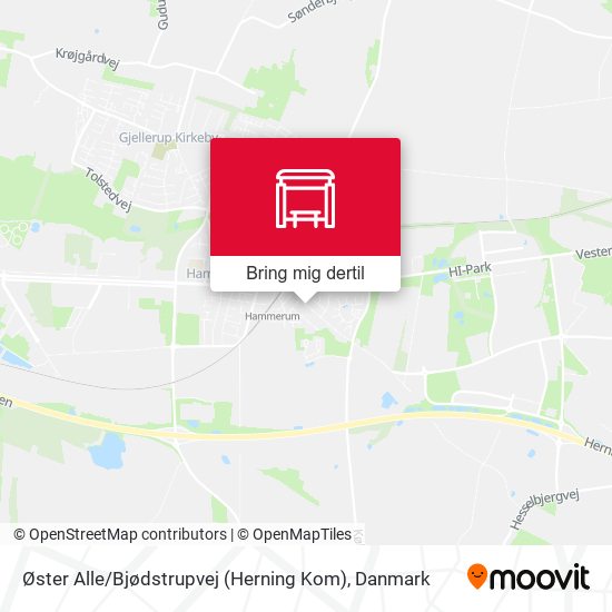 Øster Alle / Bjødstrupvej (Herning Kom) kort