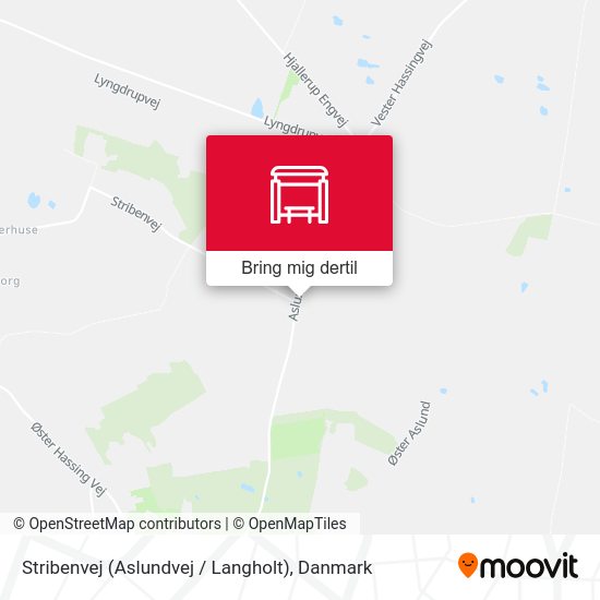Stribenvej (Aslundvej / Langholt) kort