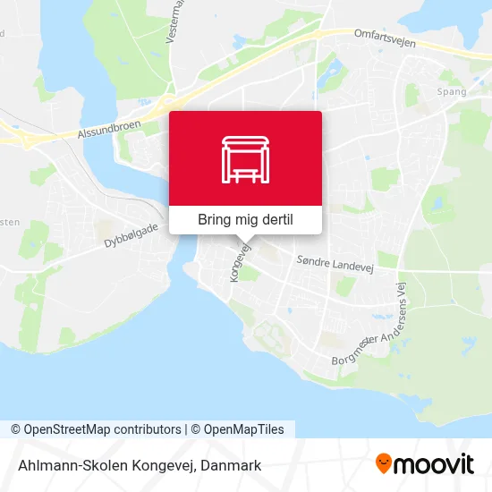 Ahlmann-Skolen Kongevej kort