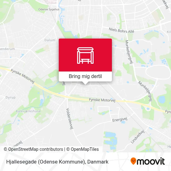 Hjallesegade (Odense Kommune) kort