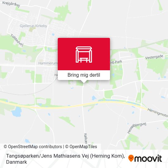 Tangsøparken / Jens Mathiasens Vej (Herning Kom) kort