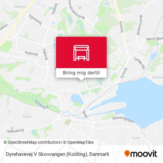 Dyrehavevej V Skovvangen (Kolding) kort