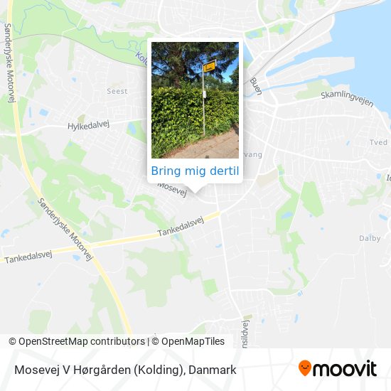 Mosevej V Hørgården (Kolding) kort