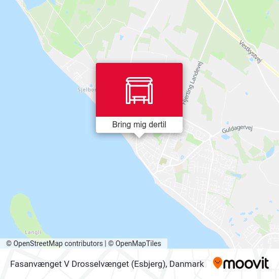 Fasanvænget V Drosselvænget (Esbjerg) kort