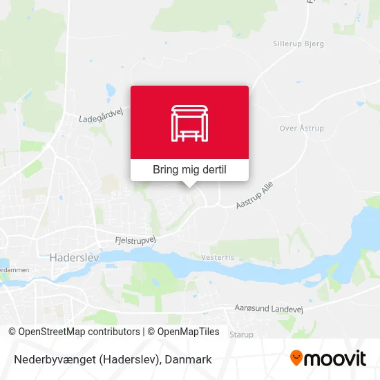Nederbyvænget (Haderslev) kort