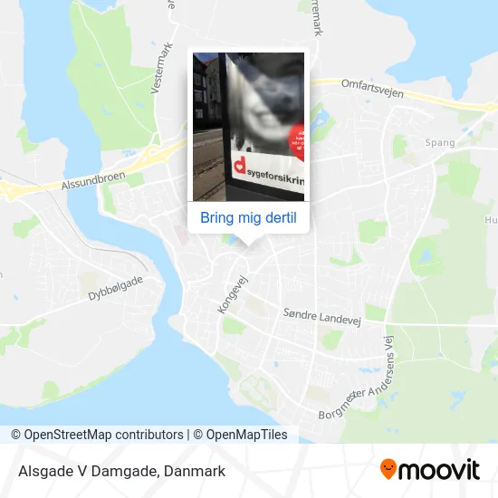Alsgade V Damgade kort