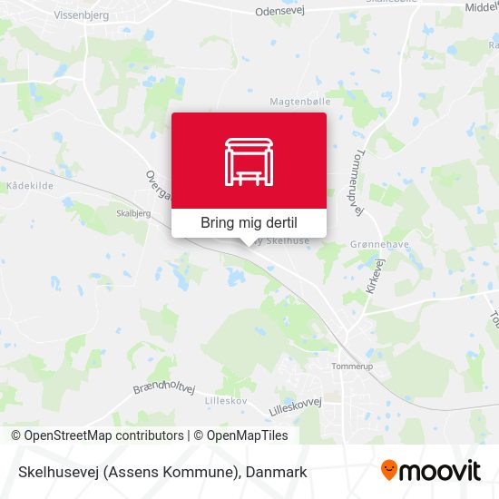 Skelhusevej (Assens Kommune) kort