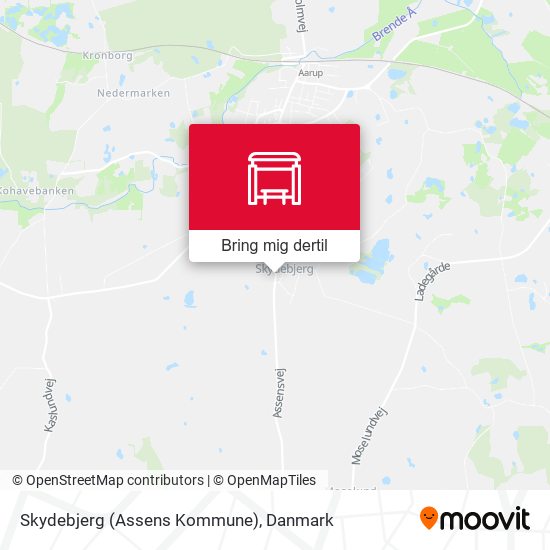 Skydebjerg (Assens Kommune) kort