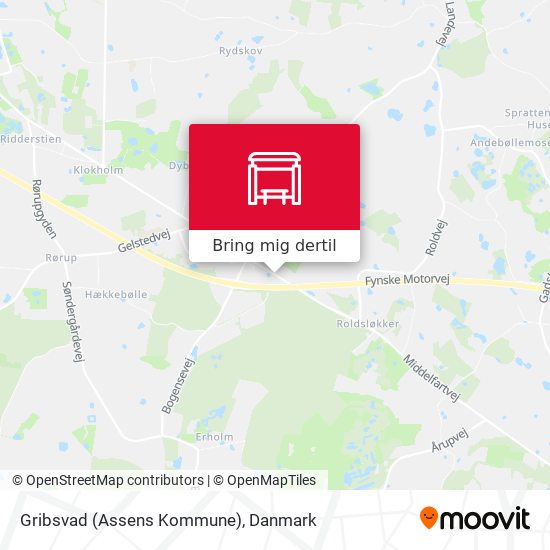 Gribsvad (Assens Kommune) kort