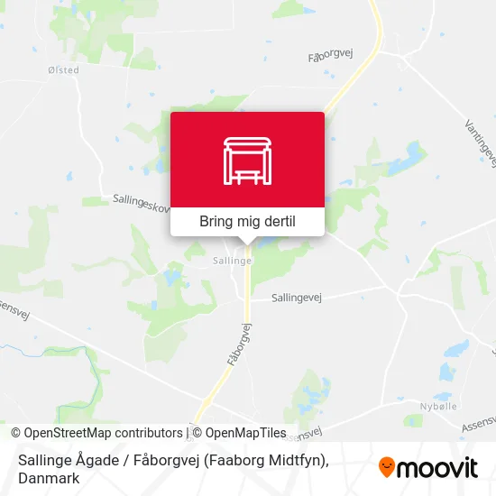 Sallinge Ågade / Fåborgvej (Faaborg Midtfyn) kort