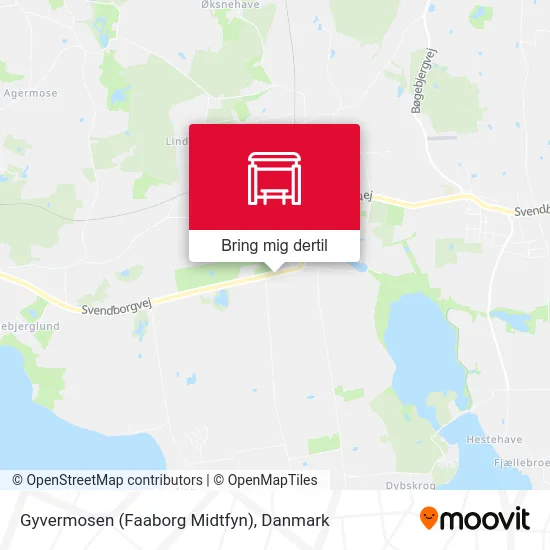 Gyvermosen (Faaborg Midtfyn) kort