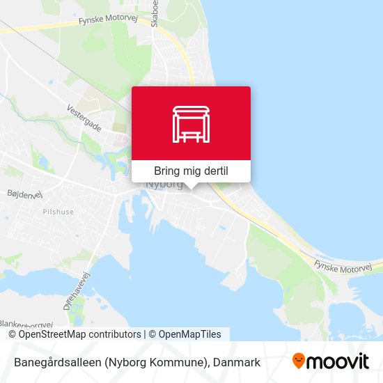 Banegårdsalleen (Nyborg Kommune) kort