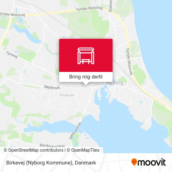 Birkevej (Nyborg Kommune) kort