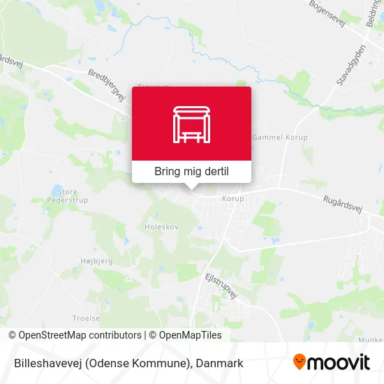 Billeshavevej (Odense Kommune) kort