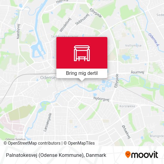 Palnatokesvej (Odense Kommune) kort