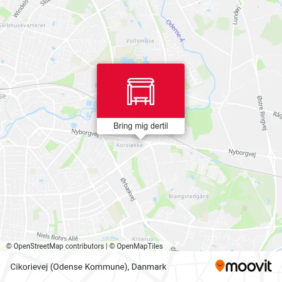 Cikorievej (Odense Kommune) kort