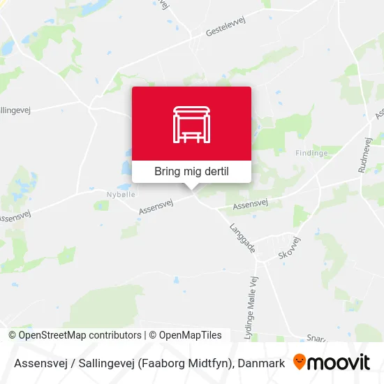 Assensvej / Sallingevej (Faaborg Midtfyn) kort