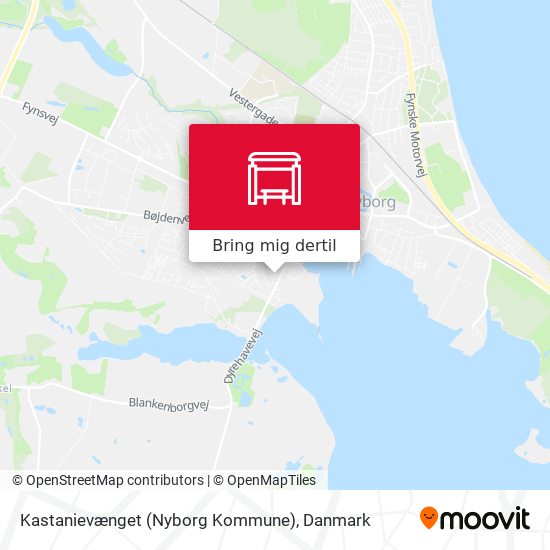 Kastanievænget (Nyborg Kommune) kort