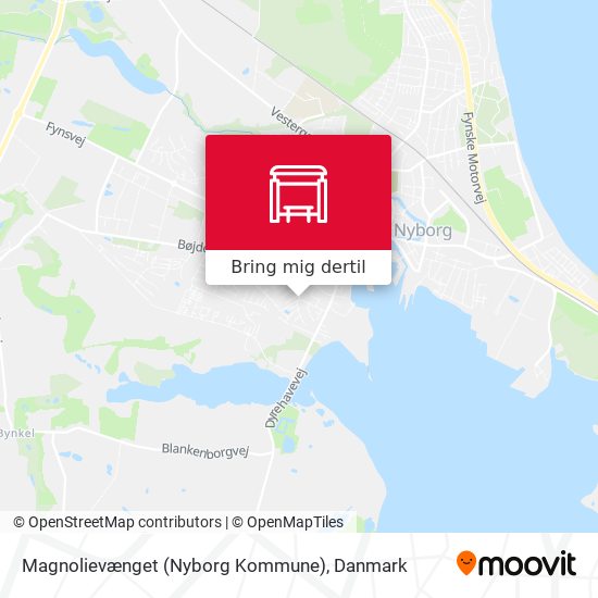 Magnolievænget (Nyborg Kommune) kort