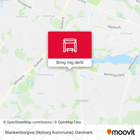 Blankenborgvej (Nyborg Kommune) kort