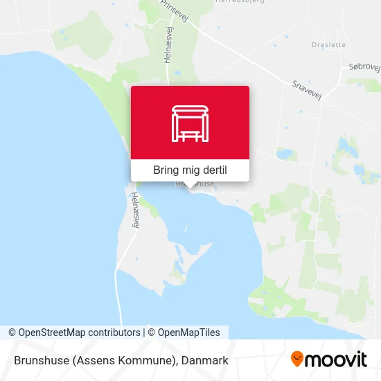 Brunshuse (Assens Kommune) kort