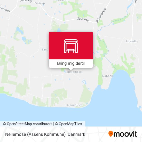 Nellemose (Assens Kommune) kort