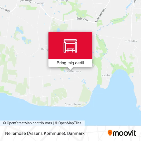 Nellemose (Assens Kommune) kort