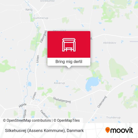 Silkehusvej (Assens Kommune) kort