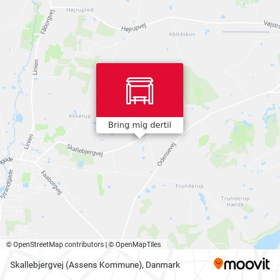Skallebjergvej (Assens Kommune) kort