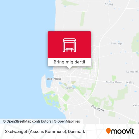 Skelvænget (Assens Kommune) kort