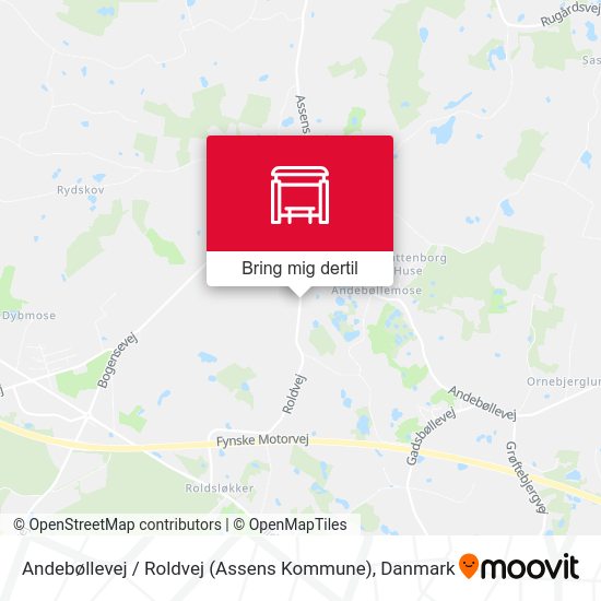 Andebøllevej / Roldvej (Assens Kommune) kort